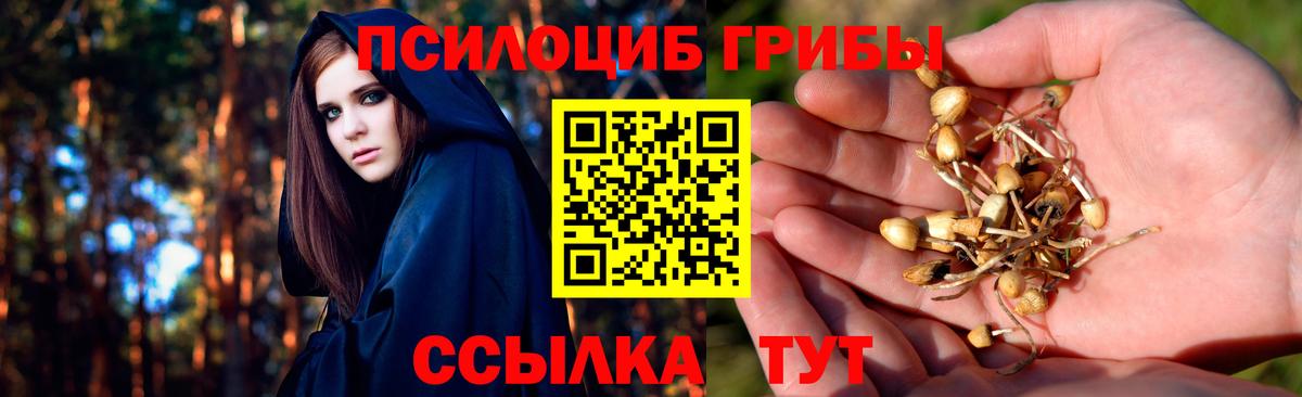 Орёл  хочу   Вход с VPN  Галлюциногенные грибы ЛСД 